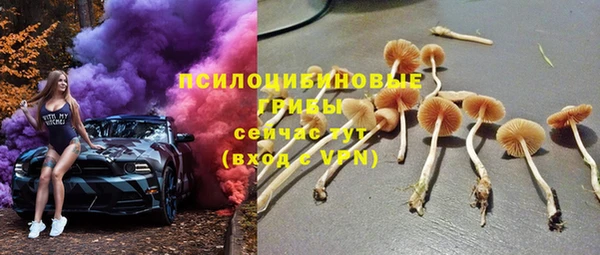 трава Алзамай
