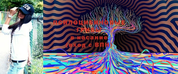 Альфа ПВП Алексеевка