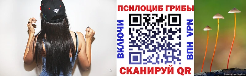 Псилоцибиновые грибы Magic Shrooms  дарнет шоп  Среднеколымск 