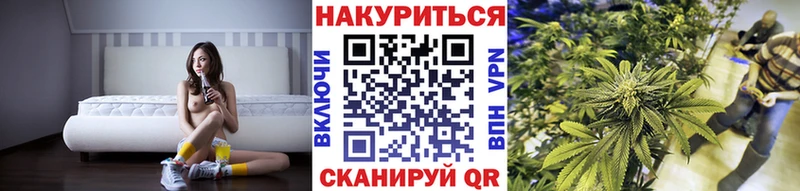 Шишки марихуана конопля где купить наркотик кракен онион Среднеколымск